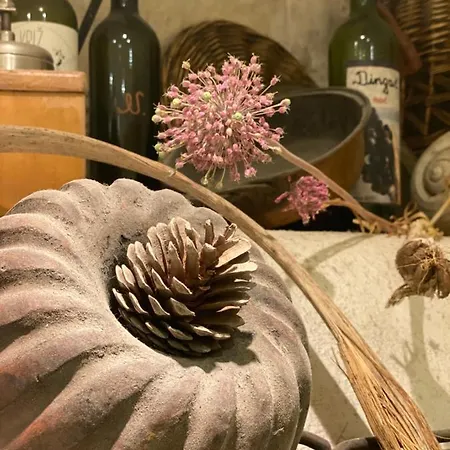 Semesterbostad Kapparis Janjina